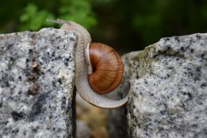 Overcoming Roadblocks